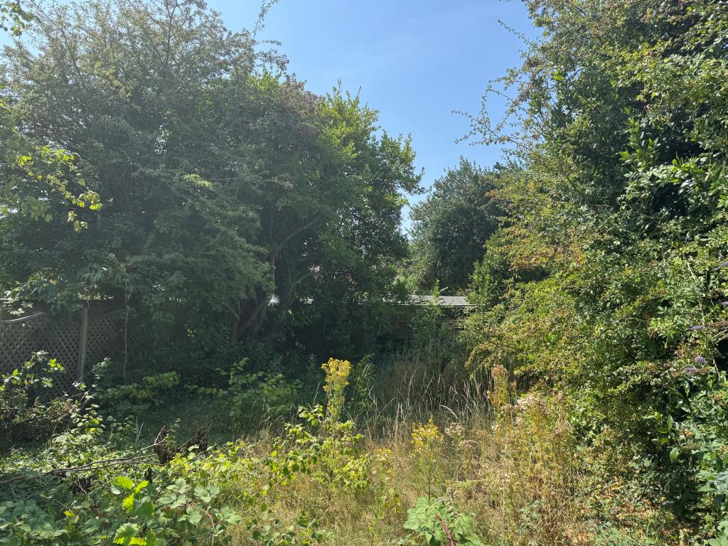Lot: 12 - LAND WITH POTENTIAL - Alternative view of land
